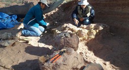 Phát hiện loài quái vật mới dài tận 12 m