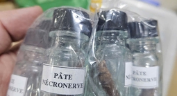 Thông tin TPHCM ngày 28-1: Cháy lớn tại xưởng pallet nhựa; Công an bắt giữ 3 người bán chất kịch độc