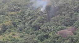 Rơi máy bay quân sự ở Đắk Lắk, phi công kịp thời nhảy dù thoát nạn