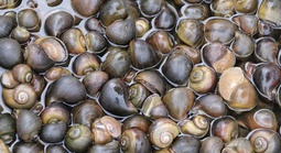 Rõ ràng trách nhiệm