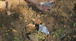 Hai người tử vong ở TPHCM đang được công an tìm người thân