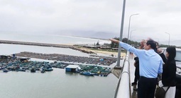 Gia Lai mạnh tay chặn gom đất trái phép quanh dự án năng lượng