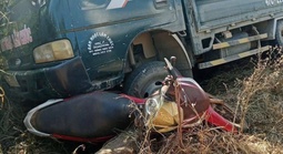 Xe tải tự trôi, cán cháu nhỏ tử vong thương tâm