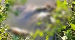 Nữ sinh Cà Mau bị sát hại: Cha mẹ đi làm xa, sống cùng ông ngoại