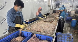 Hơn 60 tấn lòng heo hôi thối, chuyển màu nằm trong kho lạnh