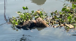 Thi thể cao 1,69 m, túi quần có số 233 trôi trên sông Sài Gòn