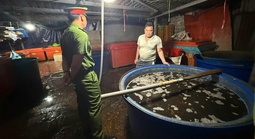 Thực phẩm bẩn và nỗi lo "vị đắng" trên mâm cỗ Tết