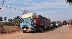 Chờ hướng dẫn Nghị định 46, hơn 1.300 xe nông sản ách tắc tại cửa khẩu