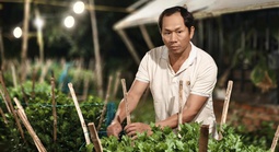 Làng hoa Tết gượng dậy sau bão lũ