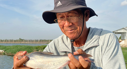Ngành hàng cá tra đón đầu cơ hội