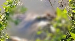 Vụ nữ sinh lớp 7 bị sát hại: Bạn đọc lên án hành vi dã man của nghi phạm