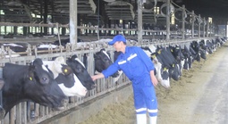 Kiến tạo vị thế, tương lai (*): Đưa sữa Việt ra thế giới