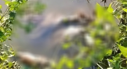 Thông tin "nóng" vụ nữ sinh lớp 7 bị sát hại