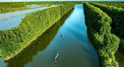 Cua biển Cà Mau liên tục tăng giá