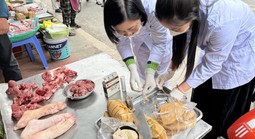 Kiểm tra an toàn thực phẩm bếp ăn và thức ăn đường phố