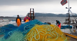 Lưới đánh cá châu Âu “hóa lá chắn” chặn UAV Nga ở Ukraine 