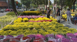 Không còn cảnh hét giá, người dân TPHCM tấp nập đi mua hoa Tết sớm