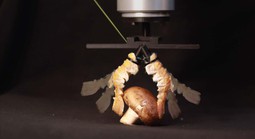 Độc lạ robot: Từ "lai" sinh học đến "da" điện tử