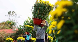 Làng hoa Tết vào xuân