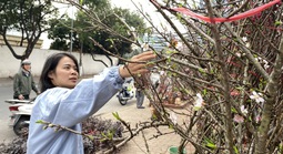 Dự báo chi tiết thời tiết cả nước dịp Tết Nguyên đán Bính Ngọ 2026