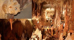 Hộp sọ làm lung lay thuyết "loài người bắt nguồn từ châu Phi"