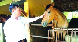 130 năm nuôi ngựa cứu người