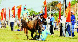 Cười ngất Với hội đua ngựa thồ