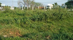 Người dân chuyển đất nông nghiệp sang đất ở trước năm 2026 sẽ được hoàn lại tiền  