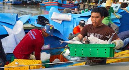 Ngư dân TPHCM phấn khởi với chuyến biển cuối năm