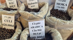 Giá cà phê hôm nay 13-2: Tăng mạnh sát Tết