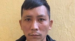 Khởi tố vụ “phù phép” mật ong nuôi thành mật ong rừng để trục lợi