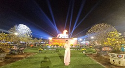 Cận cảnh những “tuyệt tác bạc tỉ” hội tụ tại thủ phủ mai vàng miền Trung