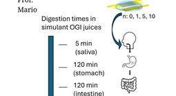 Thiết bị điện tử có thể... ăn được