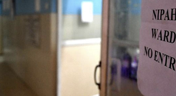 Ấn Độ: Điều dưỡng tử vong sau khi nhiễm virus Nipah