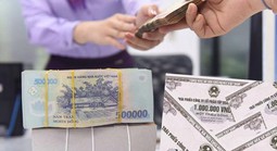 Thanh tra Chính phủ phát hiện một số vi phạm trong phát hành trái phiếu doanh nghiệp riêng lẻ