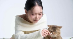 Khách sạn chó mèo "cháy phòng" dịp Tết , chủ chi tiền triệu gửi thú cưng