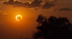 Thế giới đón “nhật thực Nam Cực” ngay mùng 1 Tết Bính Ngọ