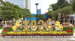 Thêm nhiều địa điểm check-in dịp Tết