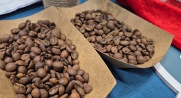 Giá cà phê hôm nay 14-2: Chốt tuần tăng tiếp