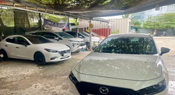 Thuê xe tự lái dịp Tết: Hết loại giá rẻ