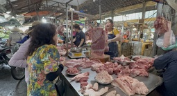 Giá heo hơi hôm nay, 14-2: Giá thịt heo nhảy dựng đứng