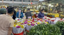 Hoa Tết ùn ùn đổ về chợ đầu mối, hoa hồng Valentine ế nhệ