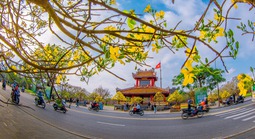 Ngắm trọn khoảnh khắc xuân về 