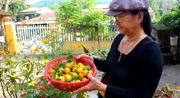 Cuộc thi "Tết xanh": Mứt quật nhà làm - hương Tết xanh còn mãi