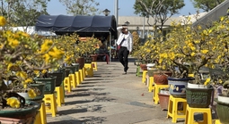 Chợ hoa Đà Nẵng ngày 28 Tết, tiểu thương “ngồi không yên”