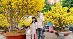 Chiêm ngưỡng cặp mai giảo "khủng" gần 40 năm tuổi, giá 700 triệu đồng ở TPHCM