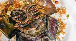 Ăn sò, ốc, sam, nhiều người nghi ngộ độc phải cấp cứu