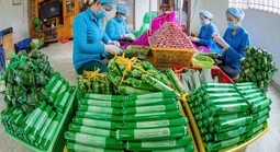 “Vương quốc” nem Lai Vung chạy đua với Tết