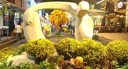 Độc đáo không khí Tết ở Đường Sách TPHCM