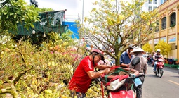 Chợ hoa Tết TPHCM: Không gian văn hoá xuân